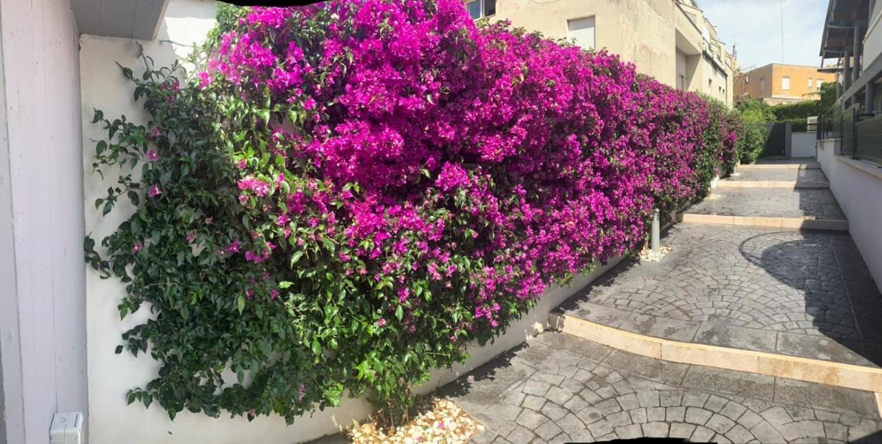 The Shabby House - Charming Seaside Retreat In Central Anzio, Steps From Beach And Train Station エクステリア 写真