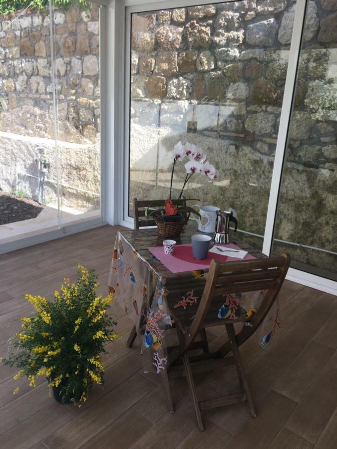 The Shabby House - Charming Seaside Retreat In Central Anzio, Steps From Beach And Train Station エクステリア 写真