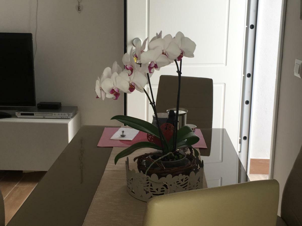 The Shabby House - Charming Seaside Retreat In Central Anzio, Steps From Beach And Train Station エクステリア 写真